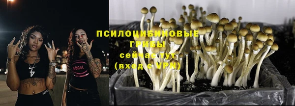 спайс Михайлов