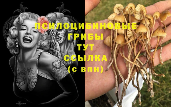 COCAINE Медногорск