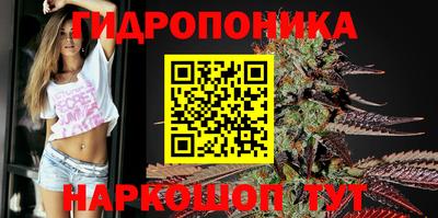 твердый Гай