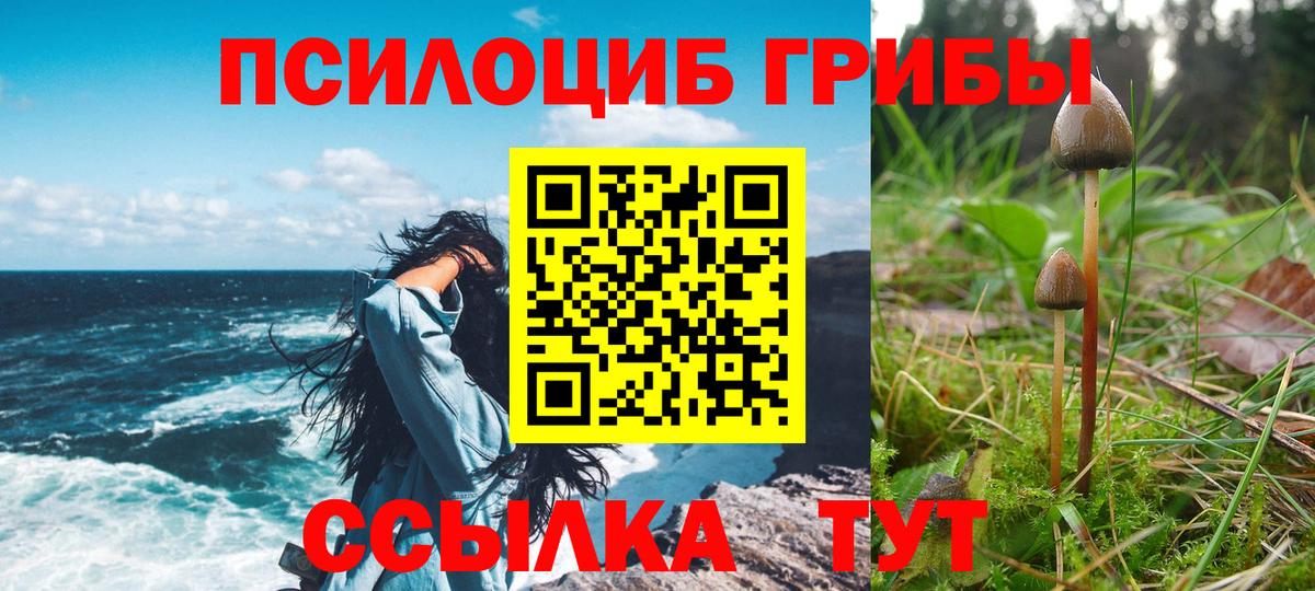 Лениногорск  Псилоцибиновые грибы мухоморы  Вход с VPN 