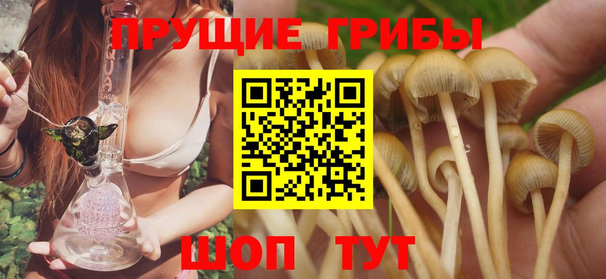 Галлюциногенные грибы прущие грибы Лениногорск
